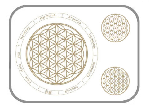 Modello adesivo completo