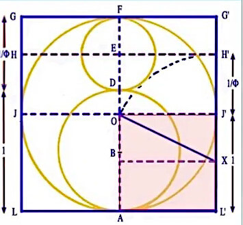 Arbelos e rapporti aurei