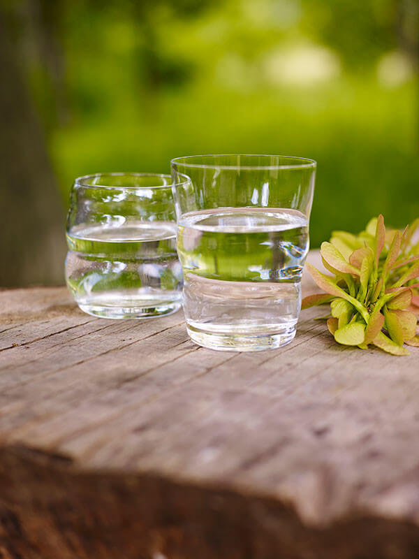 autotester kinesiologico ikinesy