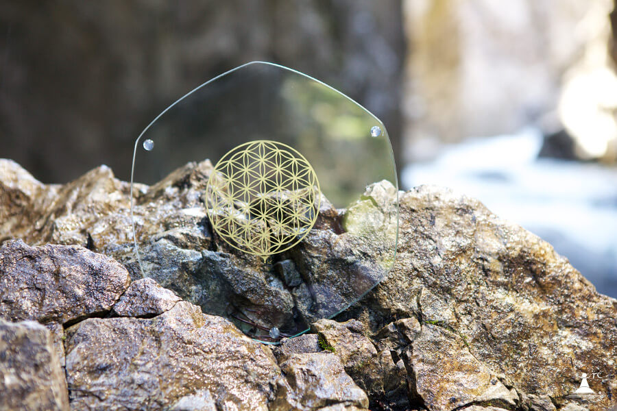 autotester kinesiologico ikinesy