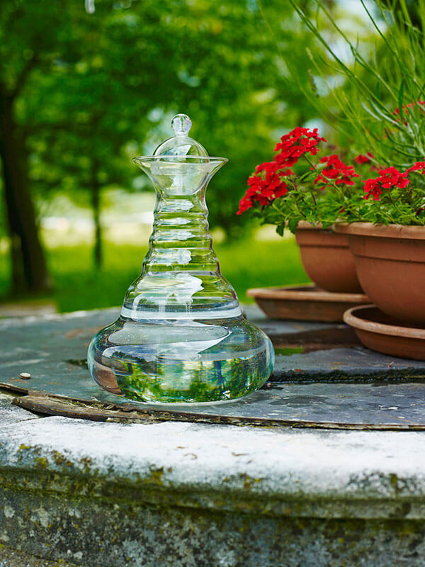 autotester kinesiologico ikinesy